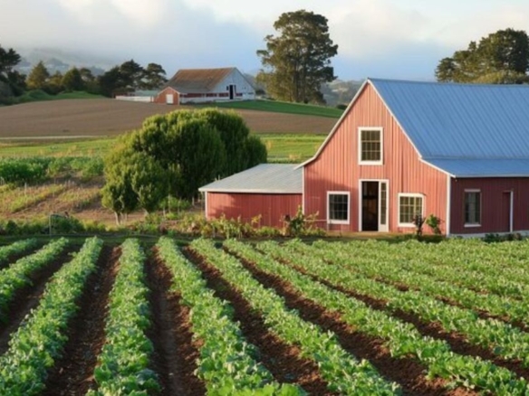 Homestead El crecimiento agrícola y residencial hacia el sur
